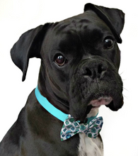 Load image into Gallery viewer, Brutus Paw Charms + Donation