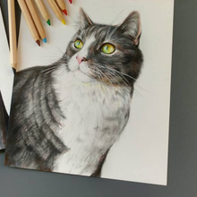 Load image into Gallery viewer, Hand Drawn Pet Portrait- Mixed Media on Bristol Paper
