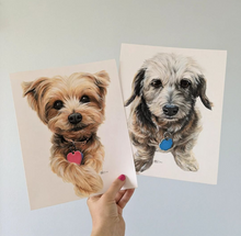 Load image into Gallery viewer, Hand Drawn Pet Portrait- Mixed Media on Bristol Paper