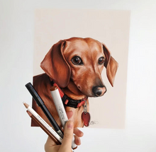 Load image into Gallery viewer, Hand Drawn Pet Portrait- Mixed Media on Bristol Paper