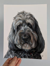 Load image into Gallery viewer, Hand Drawn Pet Portrait- Mixed Media on Bristol Paper