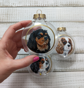 Holiday Pet Ornaments