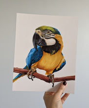 Load image into Gallery viewer, Hand Drawn Pet Portrait- Mixed Media on Bristol Paper