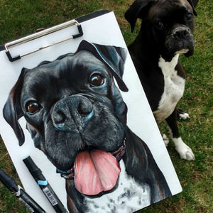 Hand Drawn Pet Portrait- Mixed Media on Bristol Paper